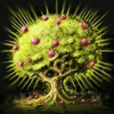 Old Wise Tree