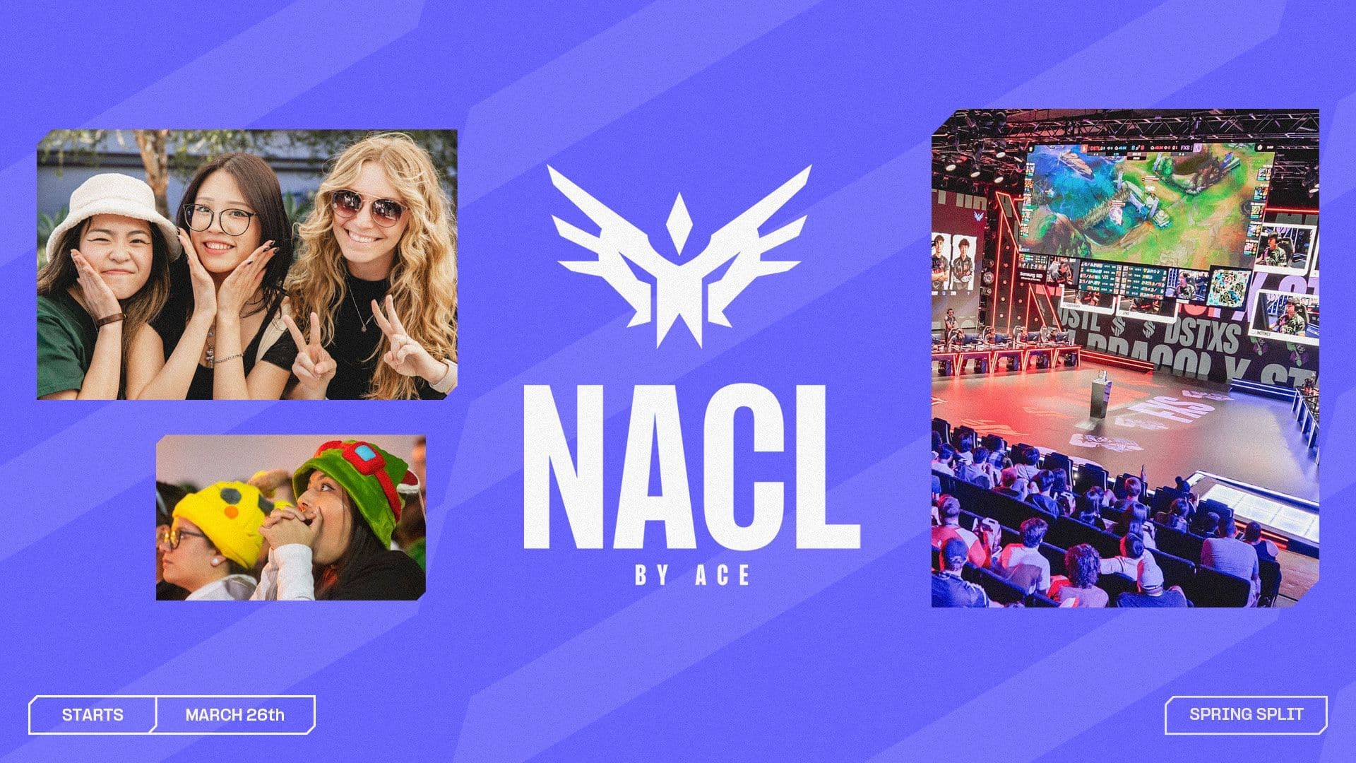 2026 NACL Spring Split Primer